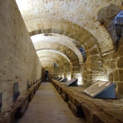 067 Sotto La Campata Destra Della Cantina Si Trova Un Sotterraneo Illuminato Ed Areato Da Aperture A Bocca Di Lupo Con Tine A Muro Per La Conservazione Dei Vini